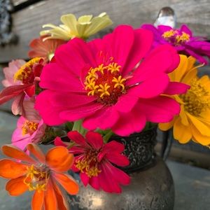 Meet your Posher, Sheri